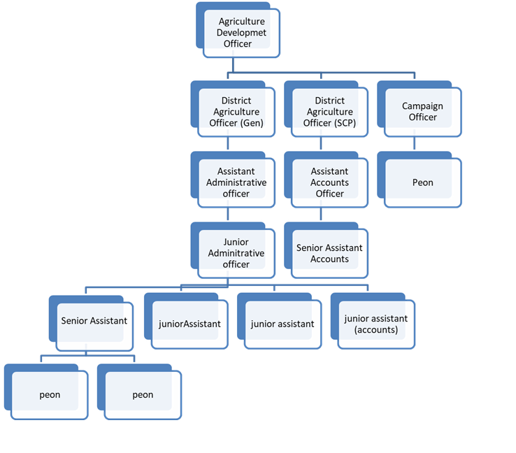 Administrative Setup