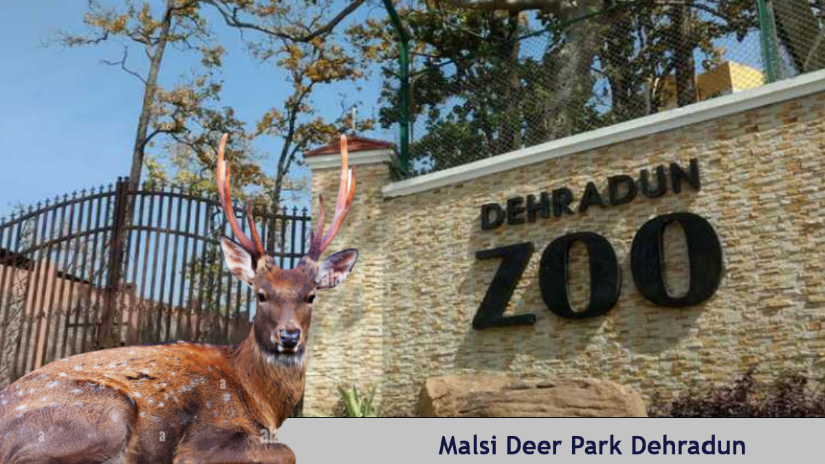 Malsi Deer Park