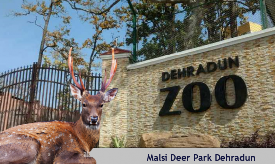 Malsi Deer Park
