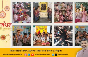 WhatsApp Image 2025-11-12 at 11.16.33