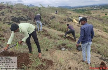 मुख्यमंत्री समृद्ध पंचायतराज अभियान अंतर्गत ग्राम पंचायत कनकापुर येथे 3000 सीताफळ रोपांची लागवड करण्यात आली