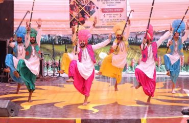 Panjabi Bhangra by NZCC team