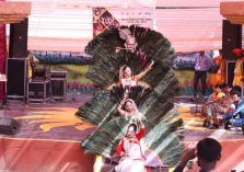 सूरजकुंड शिल्प मेला में यूपी के कलाकार द्वारा मयूर नृत्य;?>
