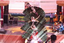 सूरजकुंड शिल्प मेला में यूपी के कलाकार द्वारा मयूर नृत्य;?>