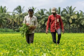 UTTARAKHAND COOPERATIVE SUGAR FACTORIES FEDERATION LIMITED