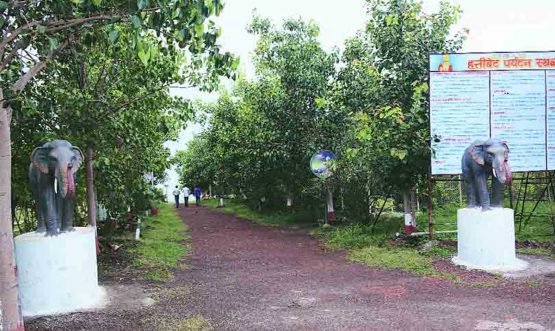 Udgir Hattibet, Devarjan