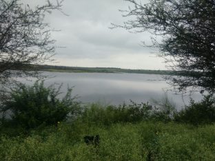 Dagadwadi Tq Nilanga Percolation Tank