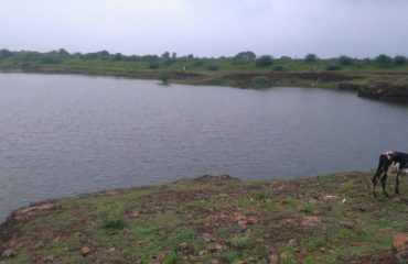 गातेगाव ता.लातूर पाझर तलाव