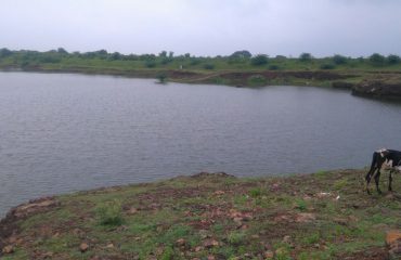 गातेगाव ता.लातूर पाझर तलाव