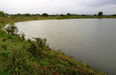 आंबेवाडी (बोतकुल) निलंगा सिंचन टाकी