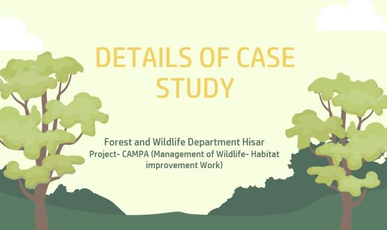 Hisar Case Study