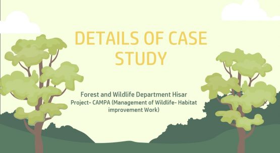 Hisar Case Study