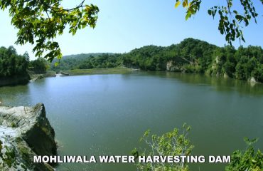 Mohliwala Water Harvesting DAM