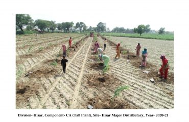 FINAL PHOTOS IN PDF-page-0012