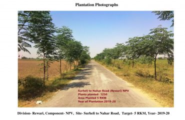 FINAL PHOTOS IN PDF-page-0011