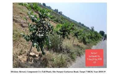 FINAL PHOTOS IN PDF-page-0014