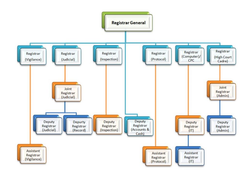 Organizational Structure of the Registry