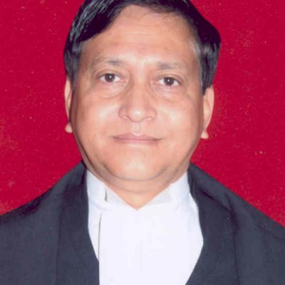 Hon'ble Mr. Justice V.K. Bist