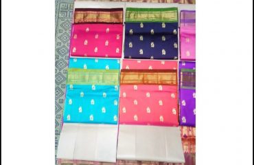 Collection of Paithani saree