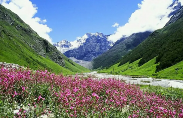 Valley of Flowers National Park