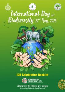 Featured image IDB 25_page-0001