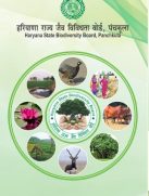Image BMC