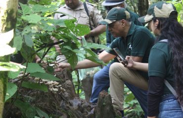 4. MASHROOM SURVEY BY THE TEAMS OF HSBB, FOREST DEPT. AND EXPERTS FROM WII AND FRI