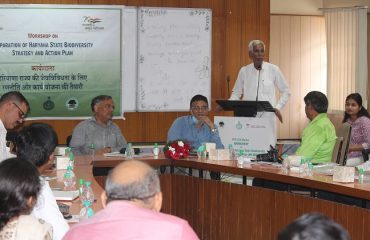 4 Feedback of Biodiversity Conservation by Chairman of BMC
