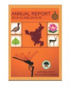 Annual report 2018-19 and 2019-20