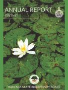 Annual Report (2020-21)