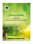 Plantation