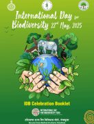 Featured image IDB 25_page-0001