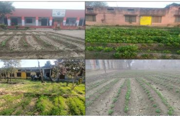 Nutri Garden under MGNREGS in District Jind