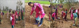Woman Mate under MGNREGS at Worksite