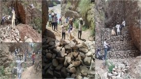 Crate Wire Structre under MGNREGS in District Panchkula