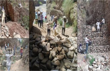 Crate Wire Structre under MGNREGS in District Panchkula