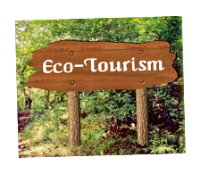 eco tourism