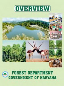 Forest News