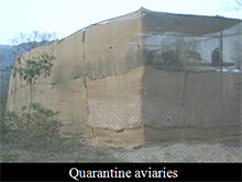 Vulture Quarantine Aviaries