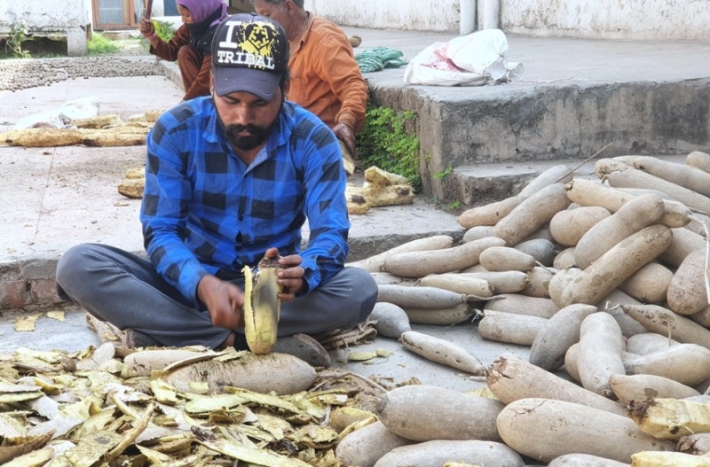 3 Seed Processing