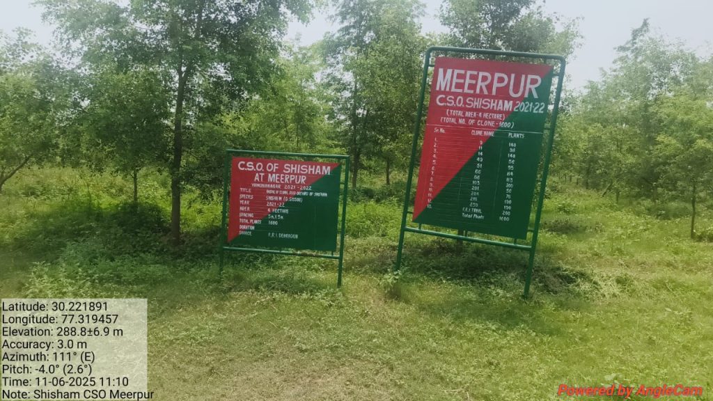Shisham CSO Meerpur photo 2