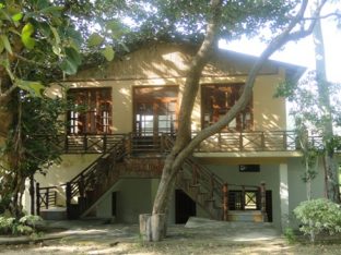 Forest Lodge