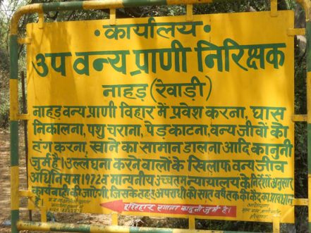 rewari
