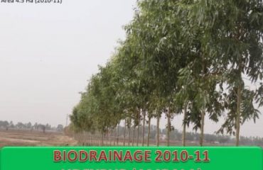 Bio-Drainage Udeypur