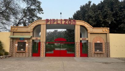 Pipli Zoo Gate