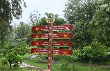 Rohtak Zoo Photo 3