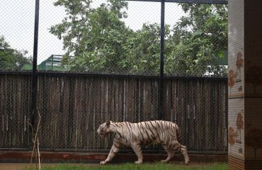 Rohtak Zoo Photo 4