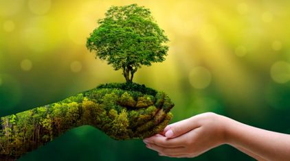 “Green India”