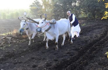 Governor ploughs Tapi fields, inspiring farmers with practical soil fertility insights