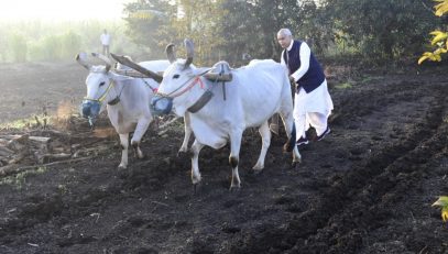 Governor ploughs Tapi fields, inspiring farmers with practical soil fertility insights